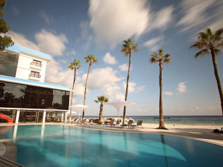 Arkin Palm Beach