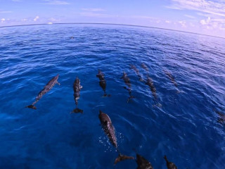 Arrival Beach and Spa