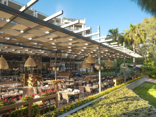 ARUM BARUT COLLECTION