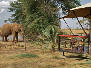 Ashnil Samburu Camp