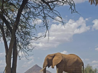 Ashnil Samburu Camp