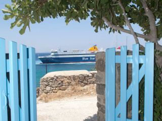 Asimina Mykonos