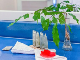 Auberge de la Vieille Tour