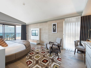 Barut Acanthus & Cennet Collection