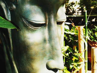 Beach Boys Boutique Resort - Caters To Gay Men