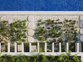 BELOVED PLAYA MUJERES