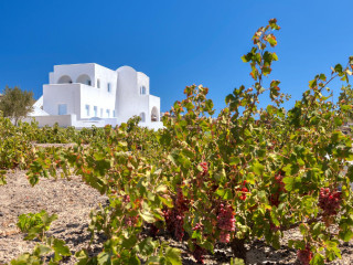 Blanca Luxury Villa