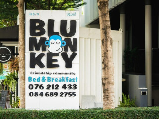 Blu Monkey Bed & Breakfast