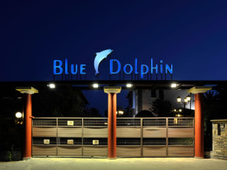 BLUE DOLPHIN