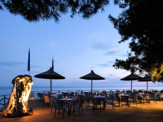 Blue Dolphin Hotel Chalkidiki