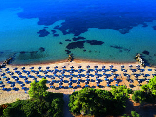 Blue Dolphin Hotel Chalkidiki