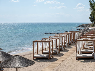 Blue Dolphin Hotel Chalkidiki