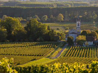 BORDEAUX - In vino veritas! PREMIUM TOURS