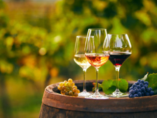 BORDEAUX - In vino veritas! PREMIUM TOURS