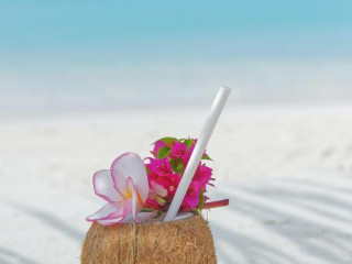 Brennia Kottefaru, Maldives