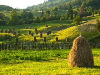 Bucovina, Maramures si Transilvania