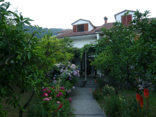 Budva Center Apartments