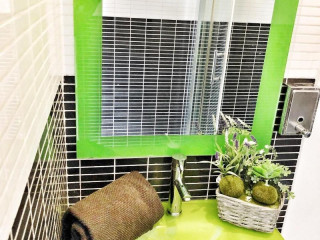 Bunga-Love - Adults Only