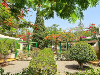 Bungalows Cordial Sandy Golf