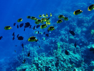 Cairo, Croaziera pe Nil & Hurghada