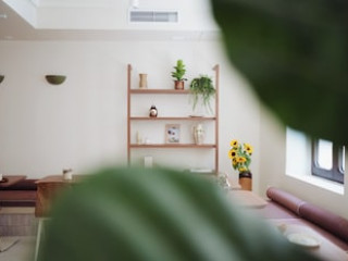 CAMELIA INTERNATIONAL