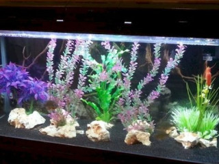 CAPODICHINO INTERNATIONAL HOTEL