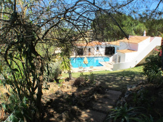 Casa Camelia