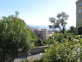 CASA ROSA