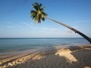 Cassia Cottage Resort and Spa