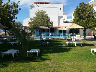 Celadi Vista (x Rodos Blue)