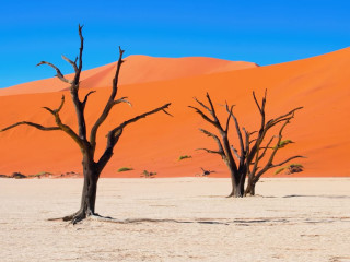 Circuit si Safari Namibia