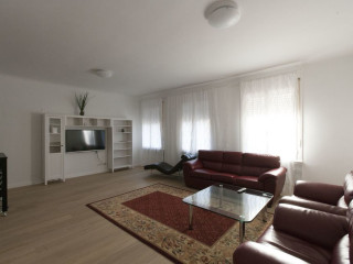 City Center Hoher Markt