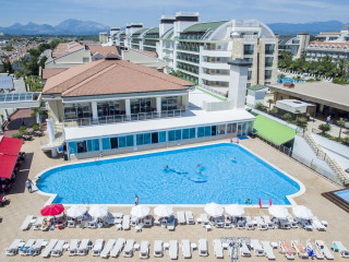 Clover Magic Seagate