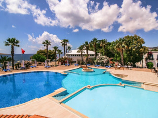 LION HOTEL