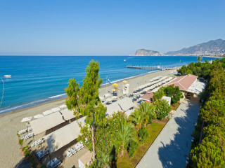 Tomato - Skiathos Town