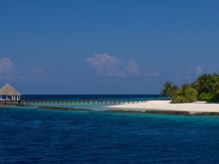 Coco Bodu Hithi
