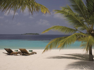 Coco Bodu Hithi
