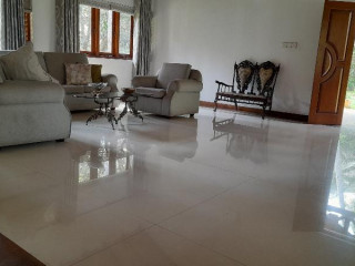 Coco Villa Peach Tree