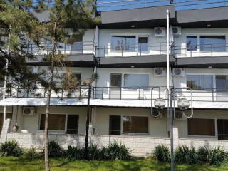 Complex Paloma Coral