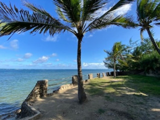 COOL BREEZE BEACHFRONT APARTMENTS