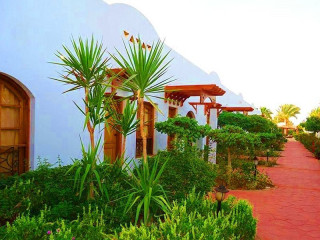 Ferrer Lime Tamarindos
