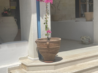 Corali Beach Apartments