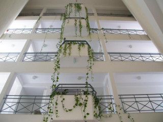 Corina Suites and Apartments