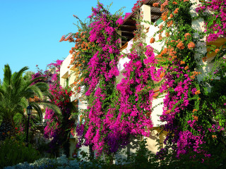 Creta Royal (Adults Only )