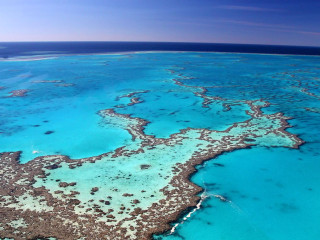 Croaziera Australia - Marea Bariera de Corali