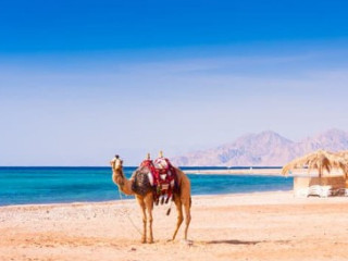 CROAZIERA PE NIL: HRG-LXR-ASW BY FLIGHT