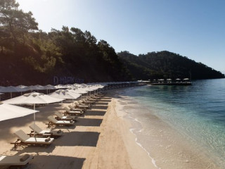 D RESORT GOCEK