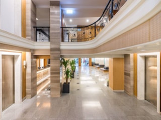 DANG DERM IN THE PARK