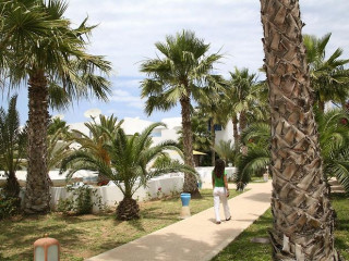 Dar Jerba Zahra