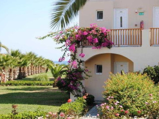 Delfina Tropic Beach